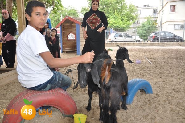 kidrawdaanimals510 (6).JPG